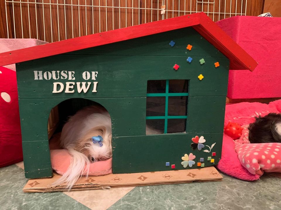 デヴィさんが作られたペットハウス