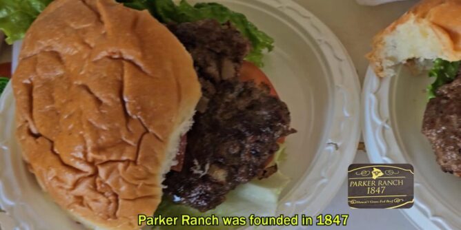 Parker Lunchの名物は、グラスフェッドビーフを使ったハンバーガー