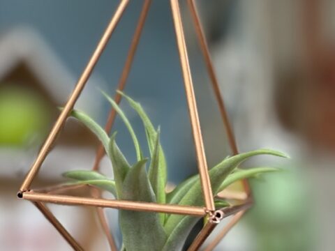 DIYプロダクション