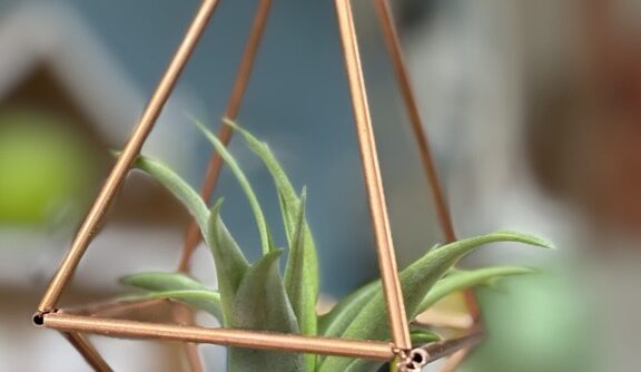 DIYプロダクション