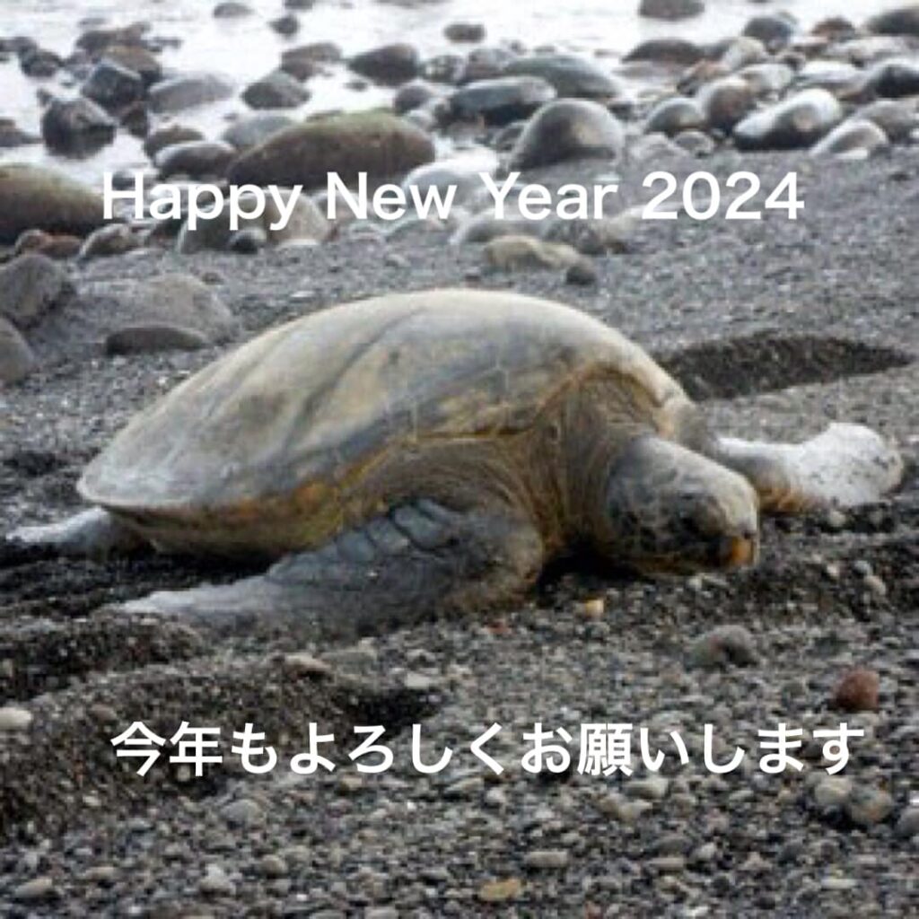 地震と津波のニュースでとても心配です