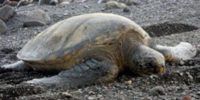 地震と津波のニュースでとても心配です