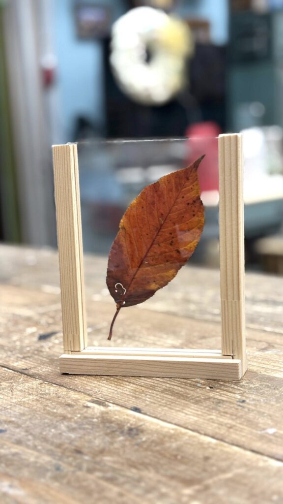 お茶の水小学校の桜の木の落ち