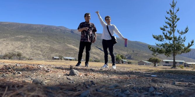 山田芳照 yamada yoshiteru DIY