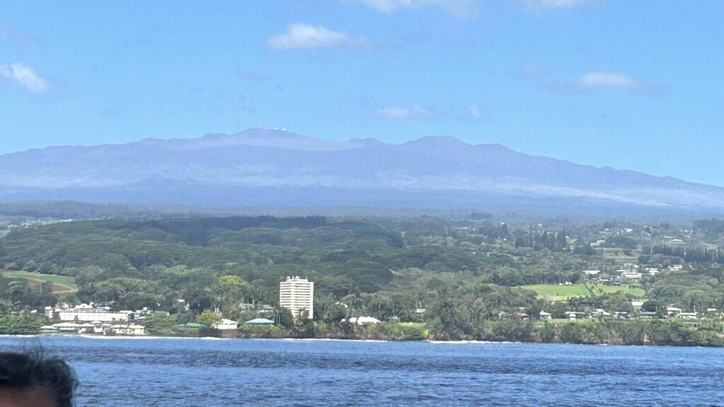 Hilo Life