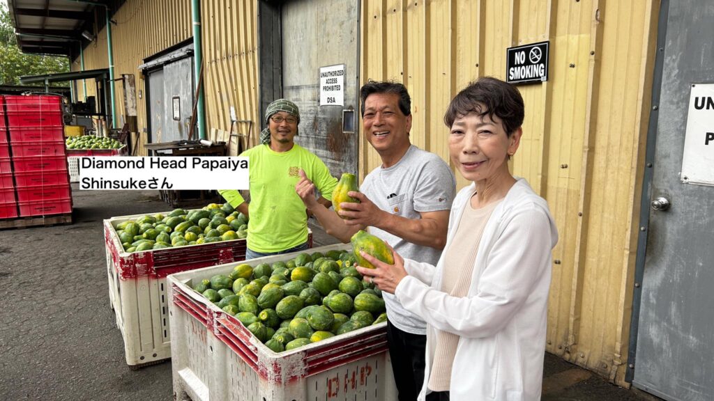 山田芳照 yamada yoshiteru DIY