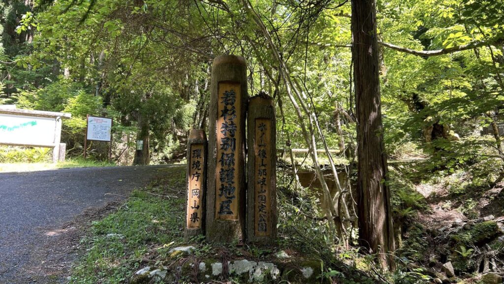 ダイワハウス新プロジェクトに参加しています