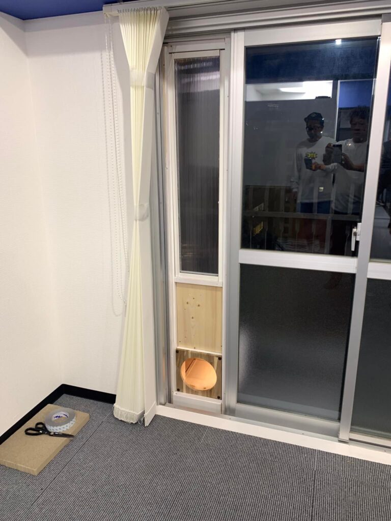 ネコいぬワイドショーの昨日の放送回