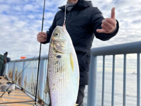 大黒埠頭にカメラマン鈴木さんと釣りに 山田芳照 yamada yoshiteru DIY