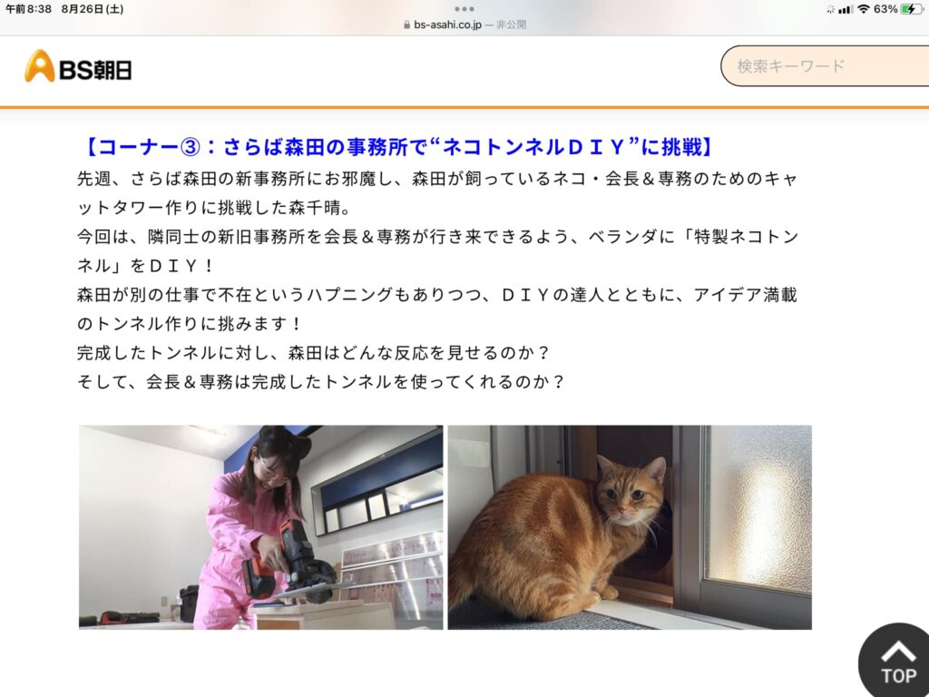 ネコいぬワイドショーの昨日の放送回