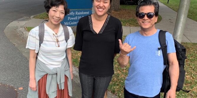 DIY 山田芳照 yamada yoshiteru