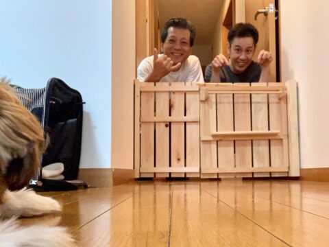 DIY 山田芳照 yamada yoshiteru