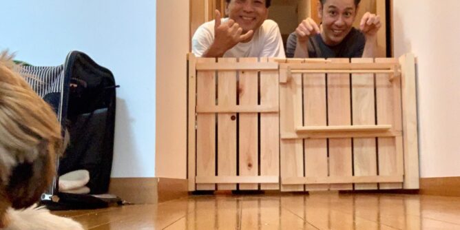 DIY 山田芳照 yamada yoshiteru