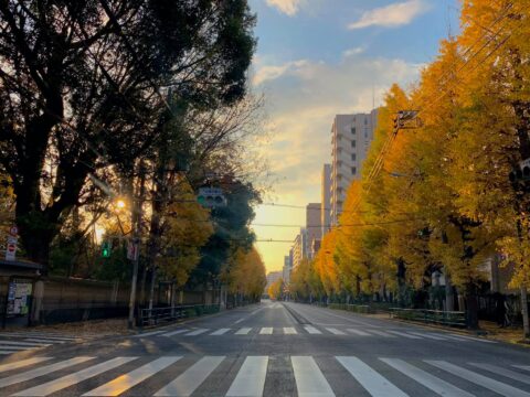 本郷通りの朝