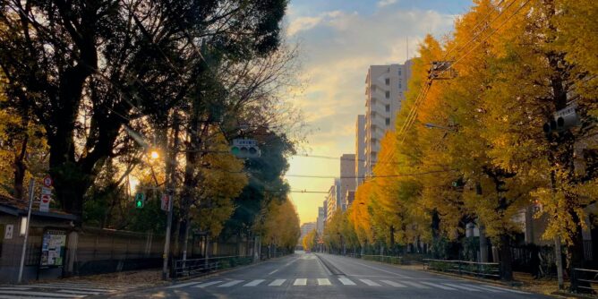 本郷通りの朝