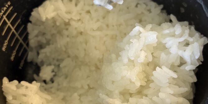 レンジメイトポット