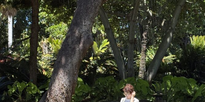 ハワイ最古のフォスター植物園