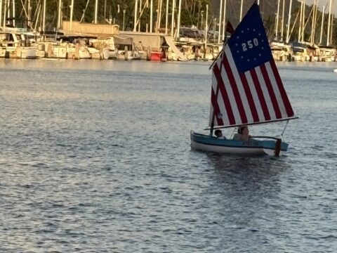 Independence Day America250の花火