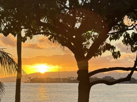 午後の散歩 sunset