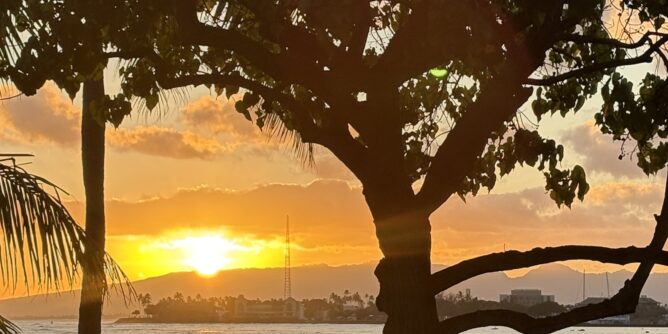午後の散歩 sunset