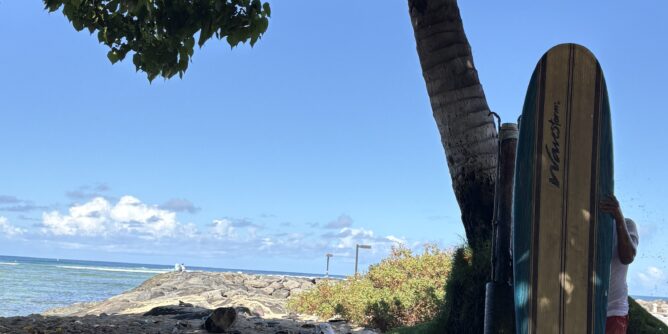 morning walk